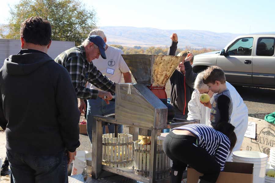 People using an old apple cider press