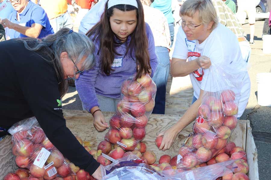 Three volunteers working together to pack red apples into plastic bags at a wooden apple crate