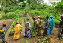 Group of women walking single file between planted rows on a hillside demonstration plot.