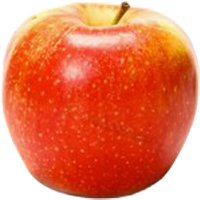 Example of a fresh Gala apple.