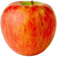 Example of a fresh Honeycrisp apple.