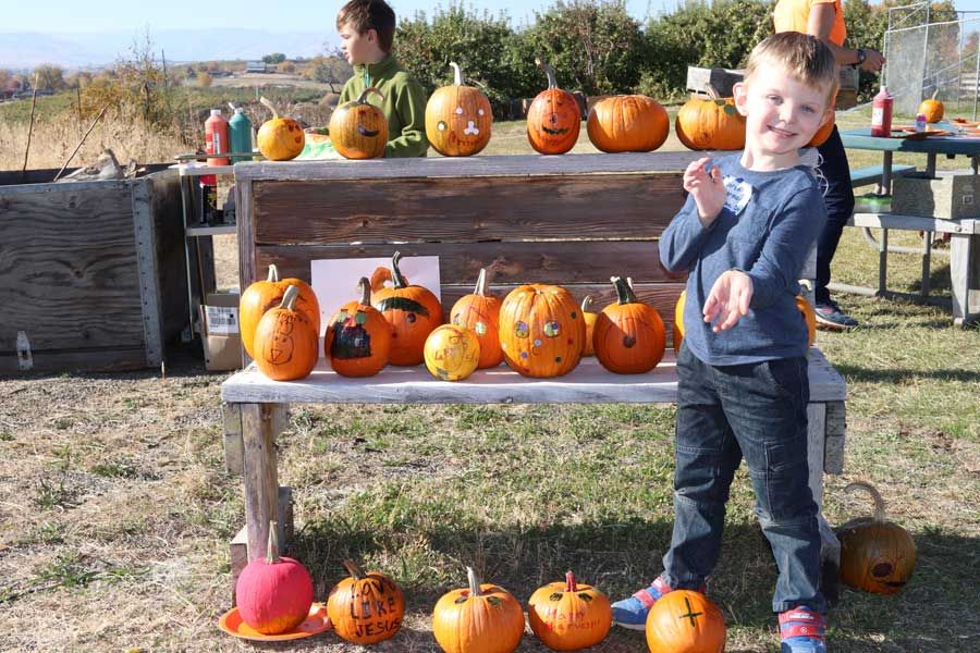 Smiling young boy standing beside a bench lined with hand-decorated pumpkins at the fall harvest event