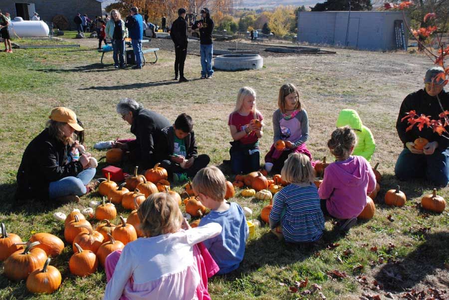 Families and children sitting in a grassy field surrounded by pumpkins to decorate