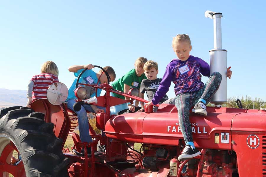 Children climbing and playing on a vintage red Farmall tractor