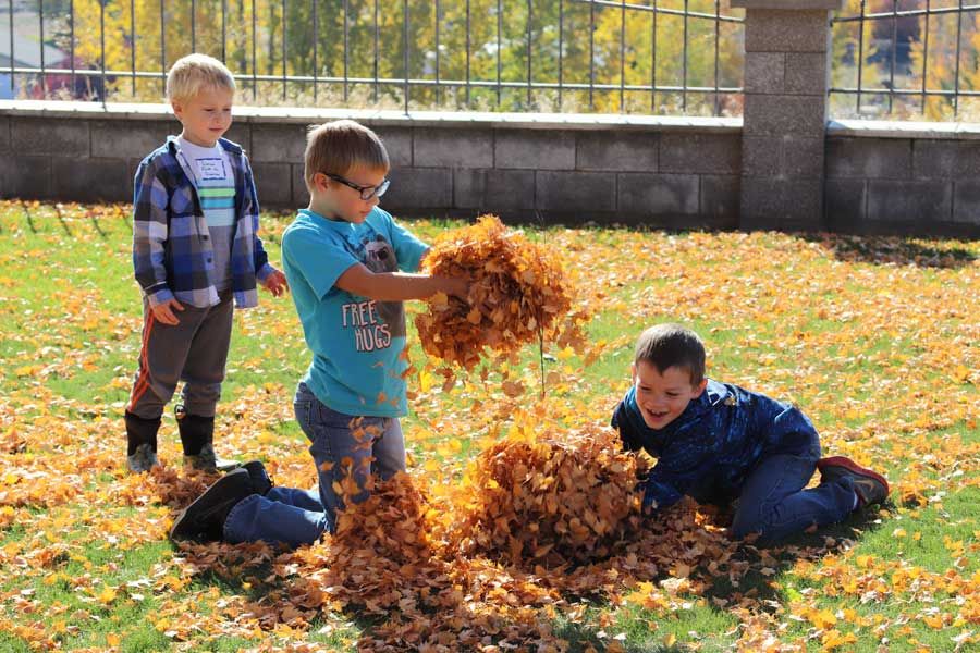 Three boys playing in a large pile of autumn leaves in a fenced yard