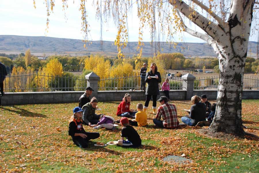 Families and children enjoying a picnic lunch on the grass beneath a birch tree with mountain views in the background