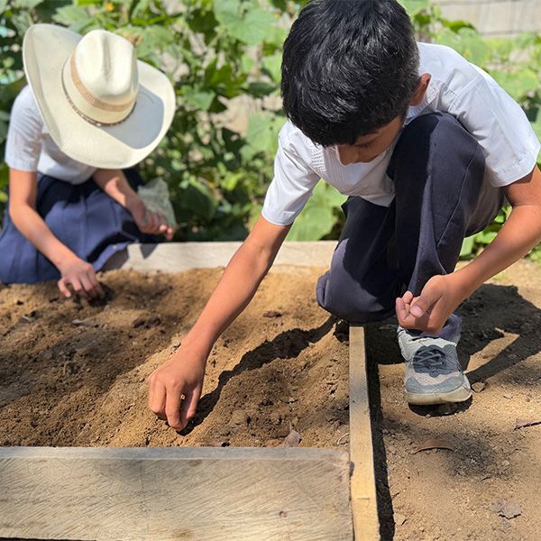 Two students in school uniform crouched over a wooden-framed garden bed, pressing seeds into the soil, the girl in the wide straw hat working from the far side.