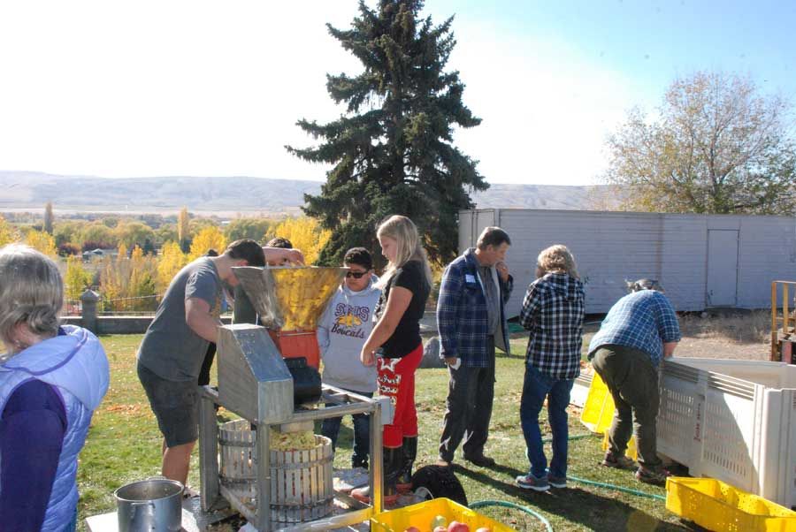 Volunteers and a child feeding apples into a cider press machine outdoors